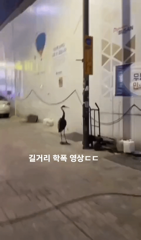 길거리 학폭 영상 | 인스티즈