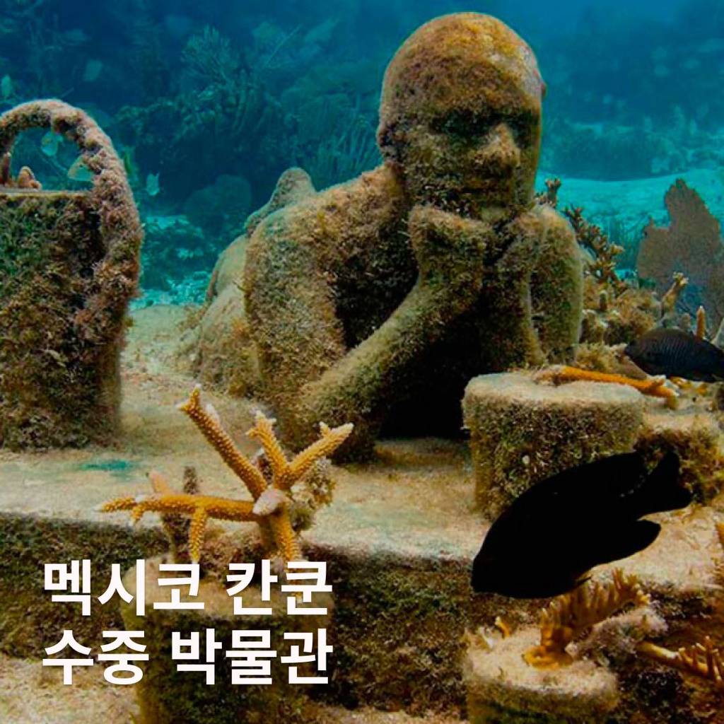 기기괴괴 세계 이색 박물관 모음 | 인스티즈