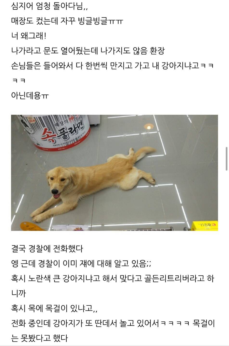 새벽 편의점의 불청객(?).jpg | 인스티즈