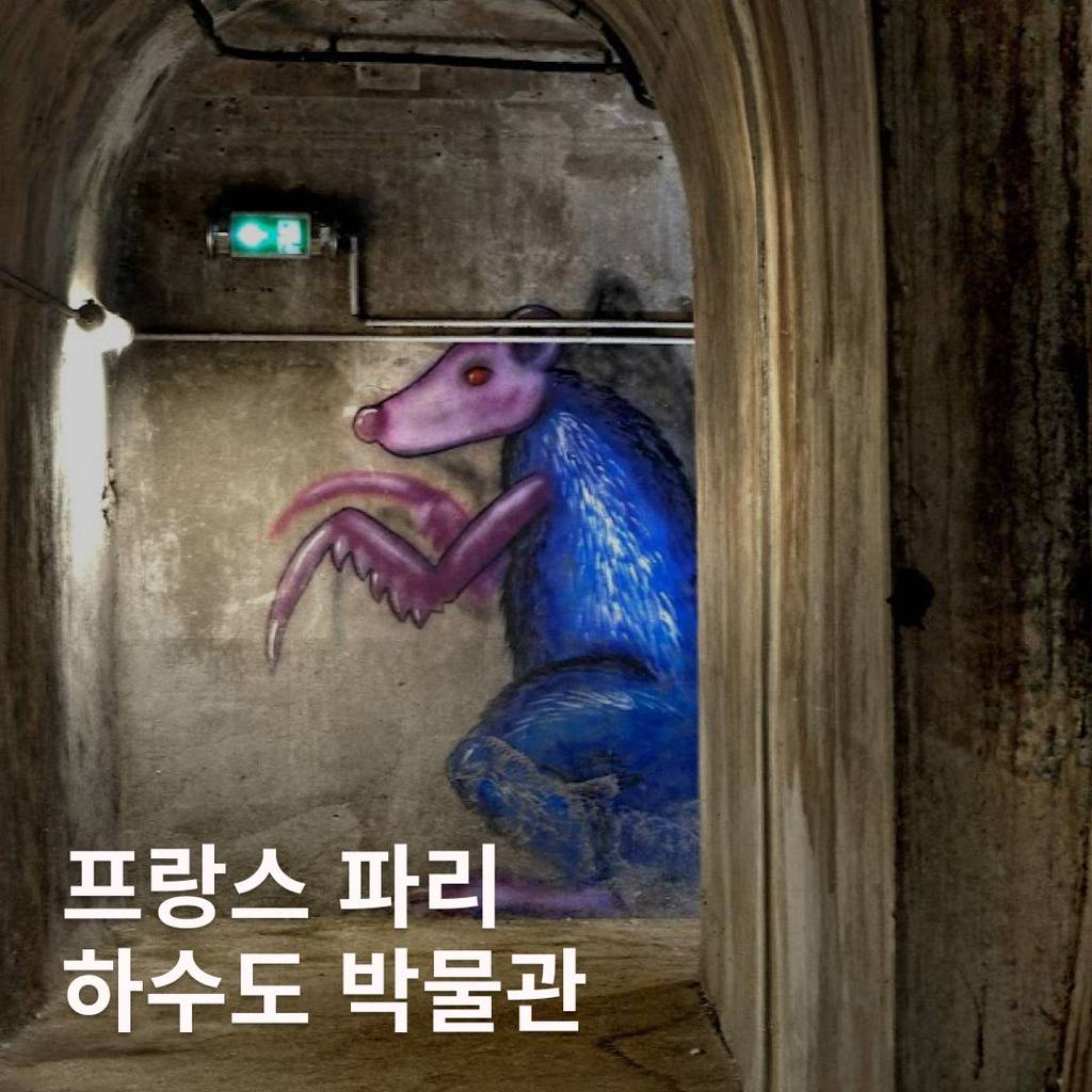 기기괴괴 세계 이색 박물관 모음 | 인스티즈