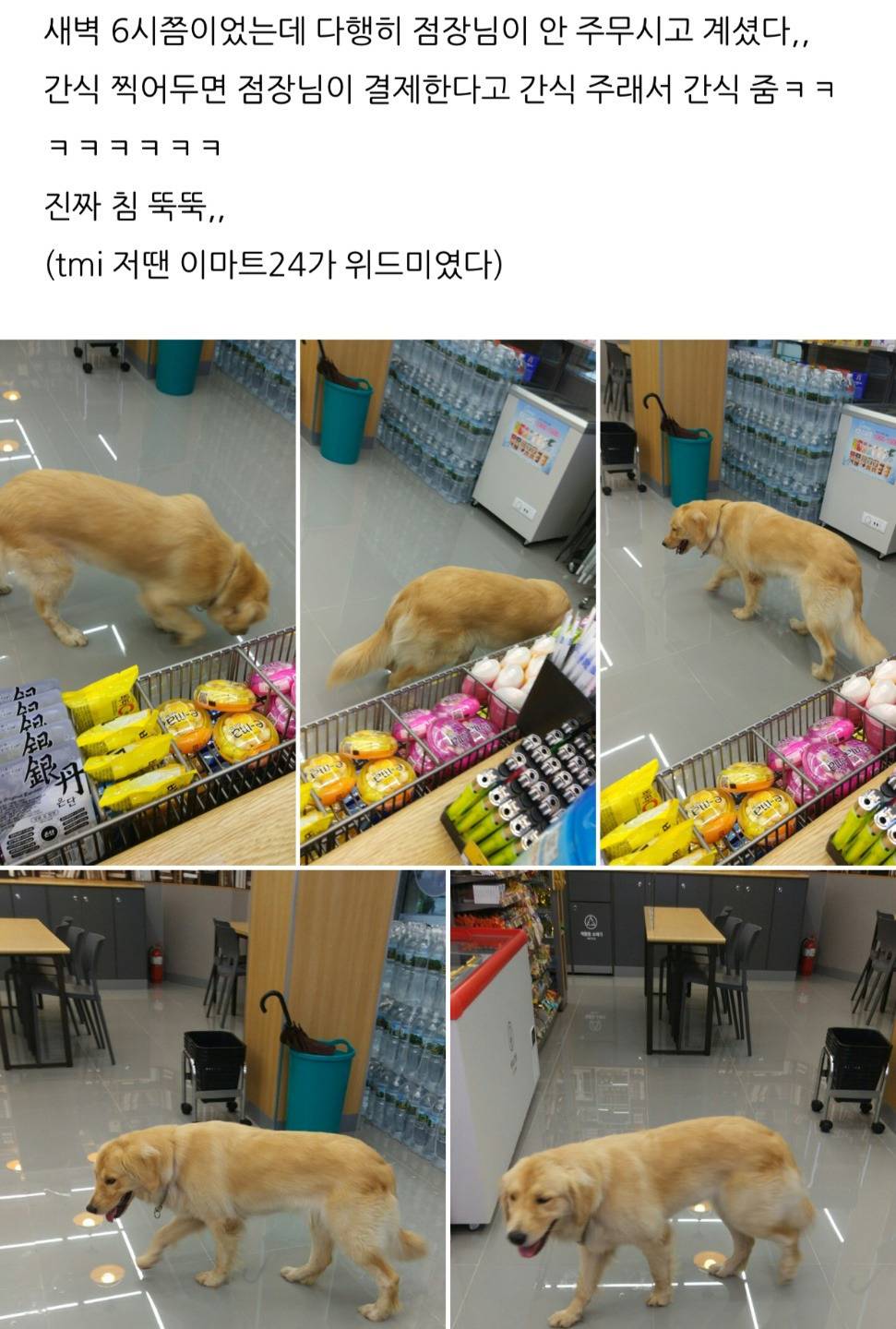 새벽 편의점의 불청객(?).jpg | 인스티즈