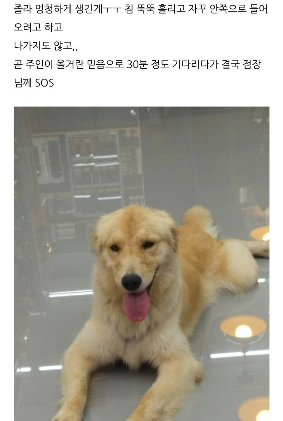 새벽 편의점의 불청객(?).jpg | 인스티즈