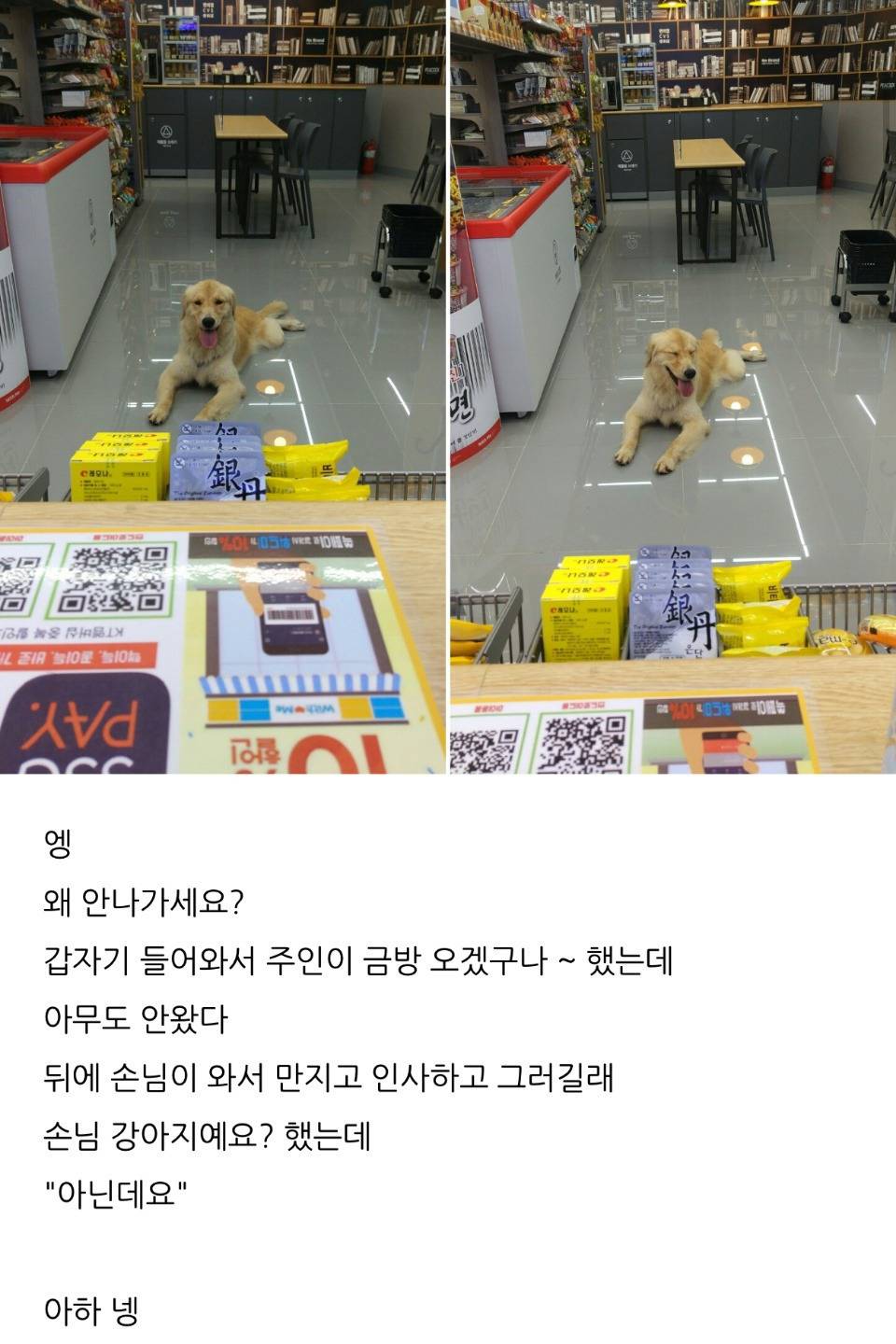 새벽 편의점의 불청객(?).jpg | 인스티즈