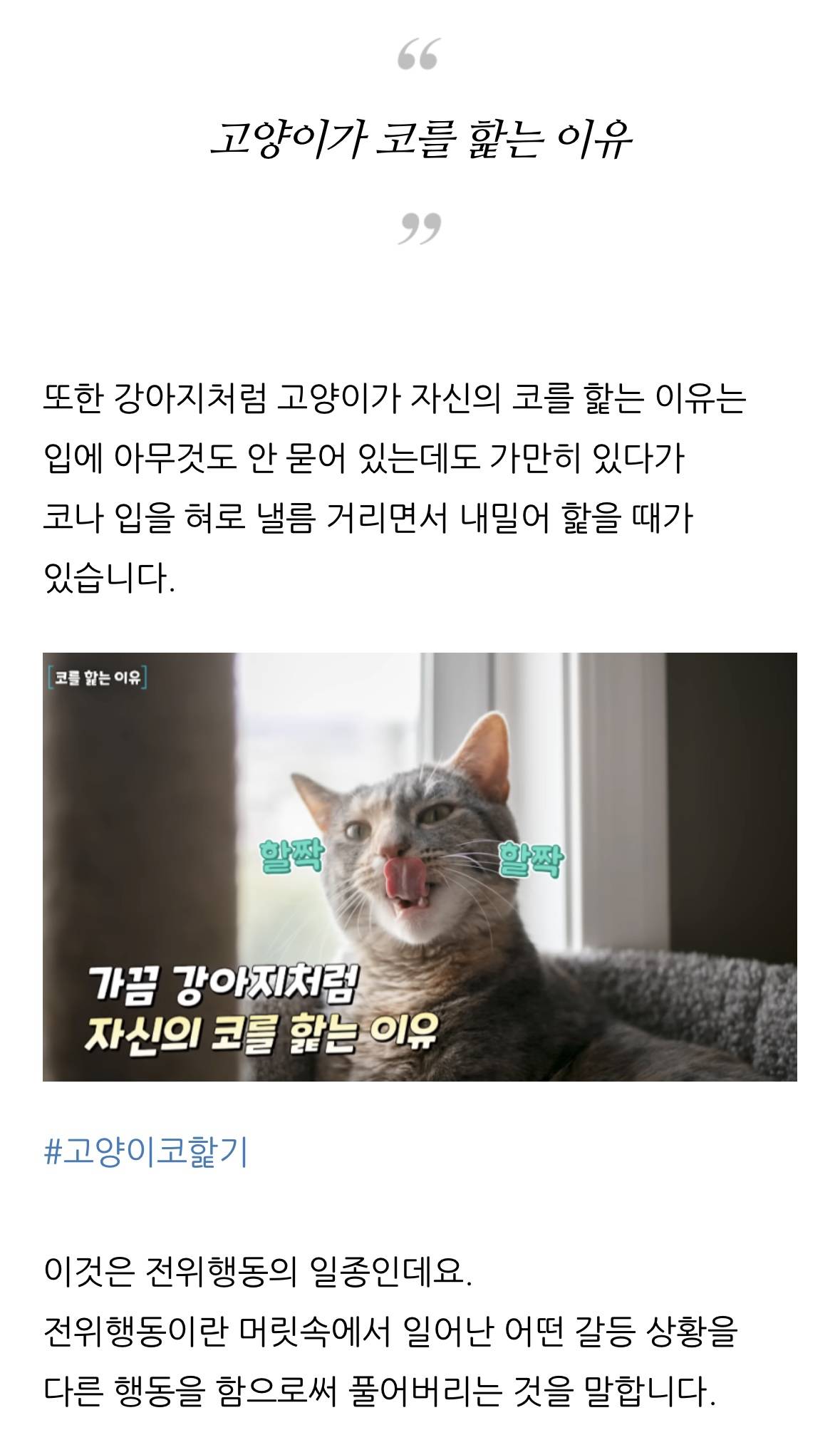 고양이 한숨과 혀 내밈 이유 | 인스티즈