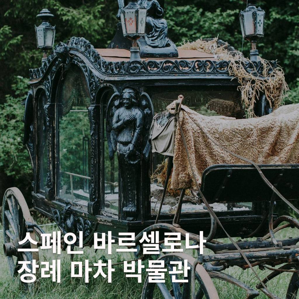 기기괴괴 세계 이색 박물관 모음 | 인스티즈