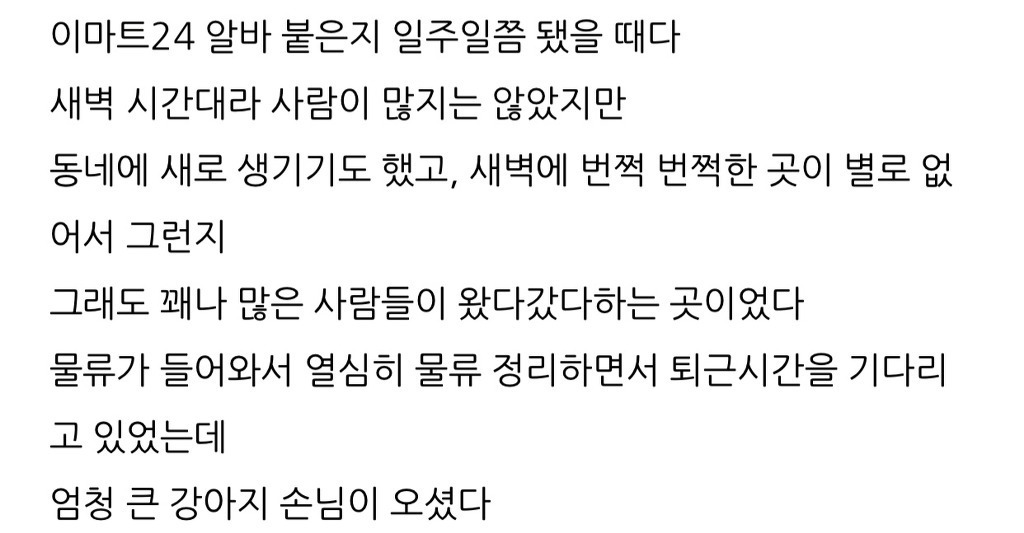 새벽 편의점의 불청객(?).jpg | 인스티즈