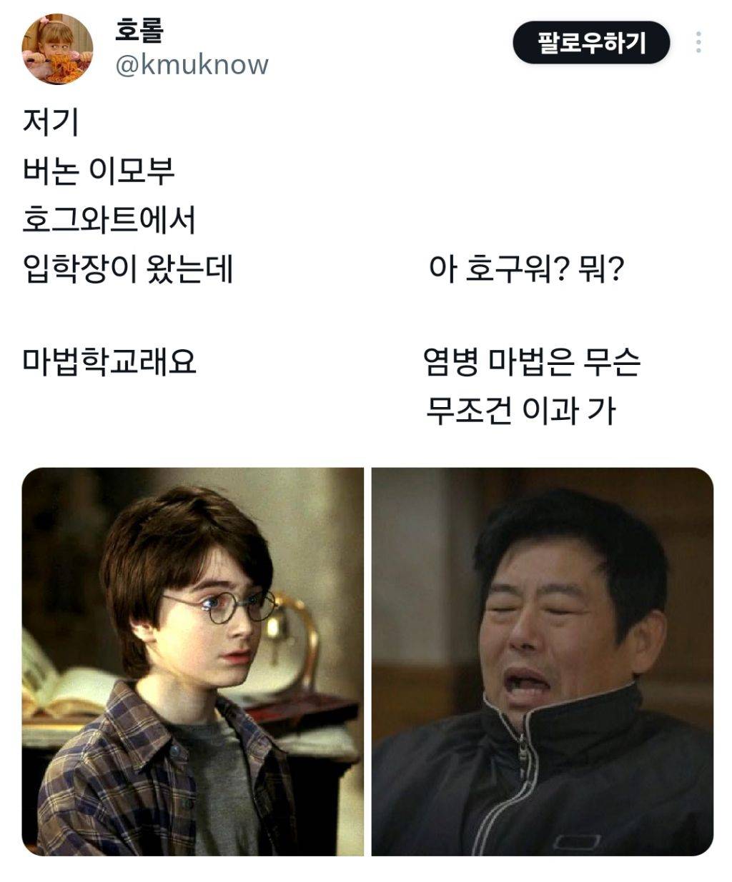 해리포터 이모부가 성동일이었다면 | 인스티즈