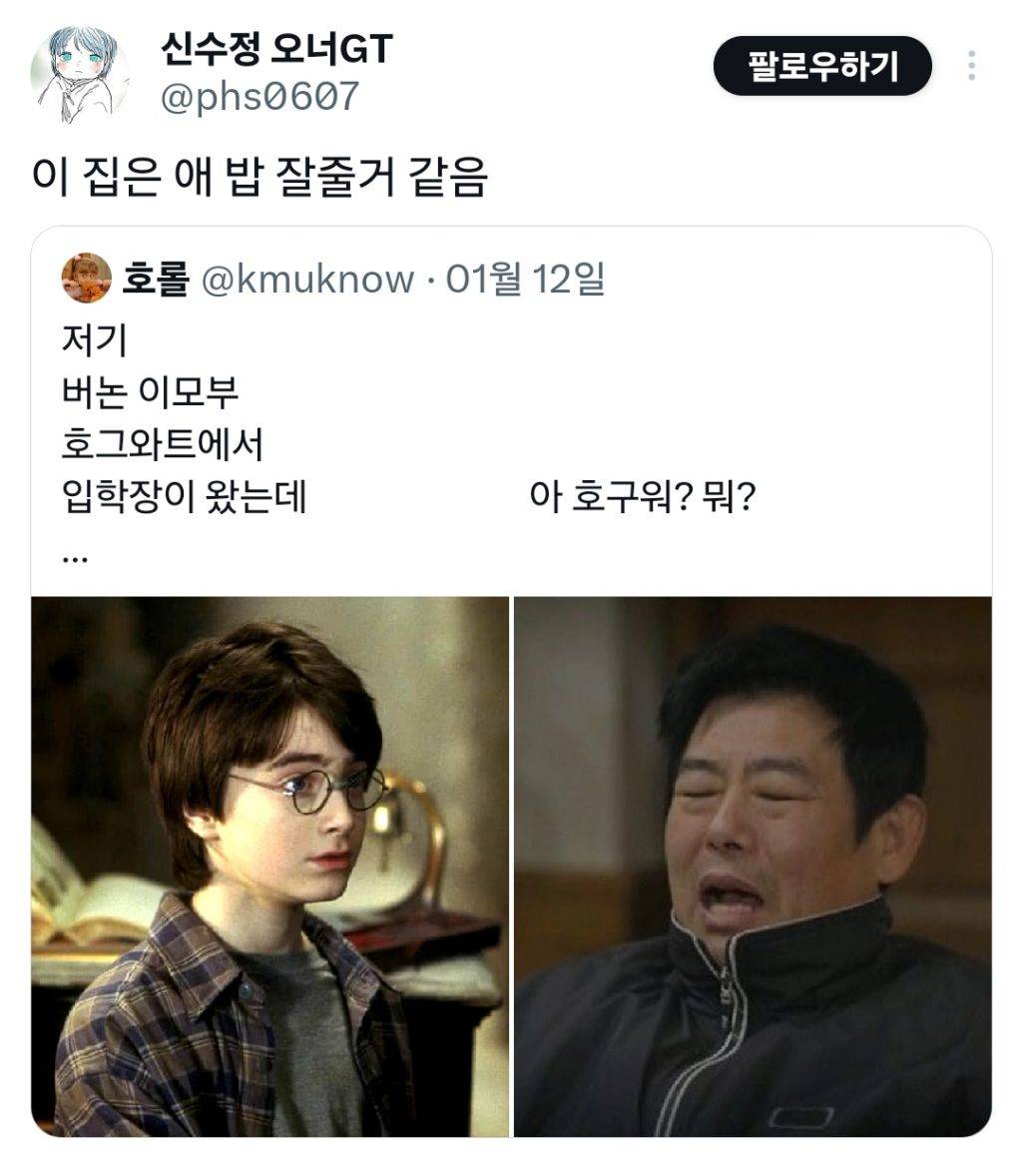 해리포터 이모부가 성동일이었다면 | 인스티즈