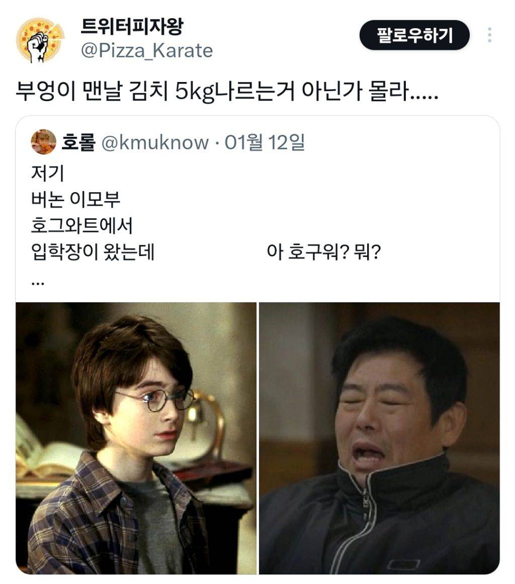 해리포터 이모부가 성동일이었다면 | 인스티즈