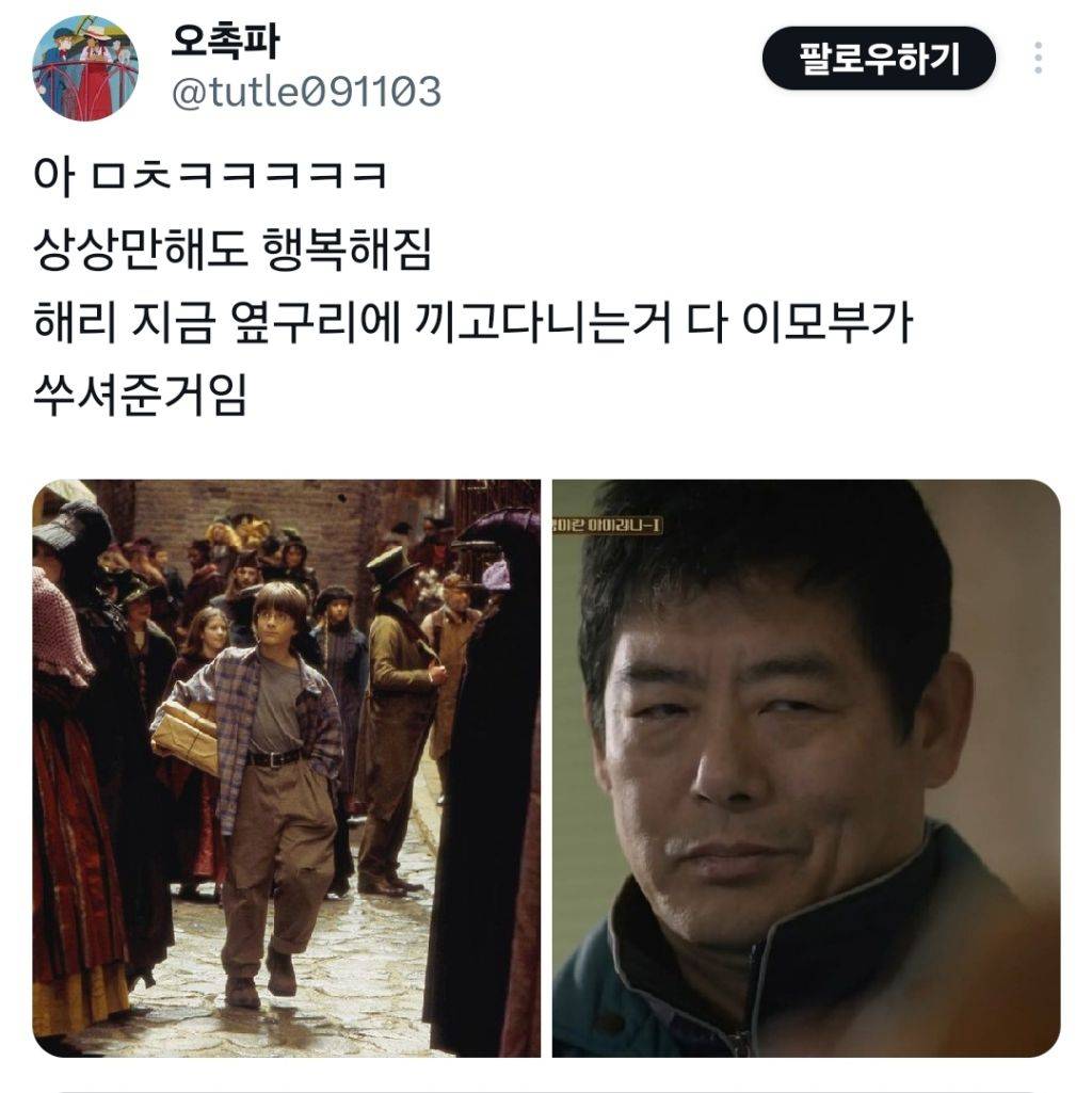 해리포터 이모부가 성동일이었다면 | 인스티즈