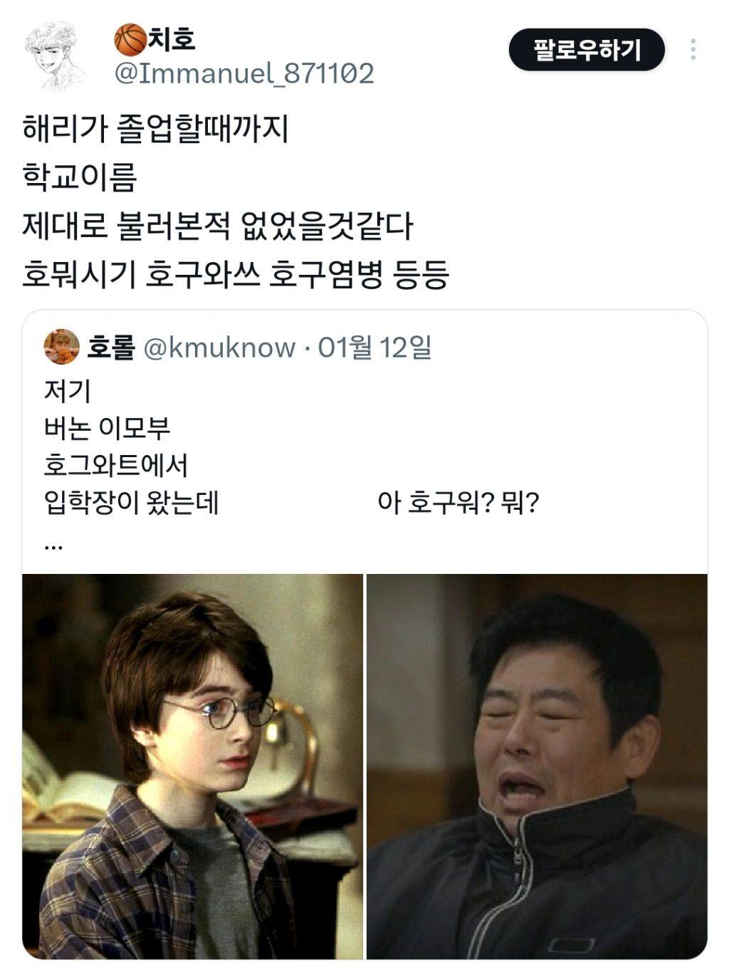 해리포터 이모부가 성동일이었다면 | 인스티즈