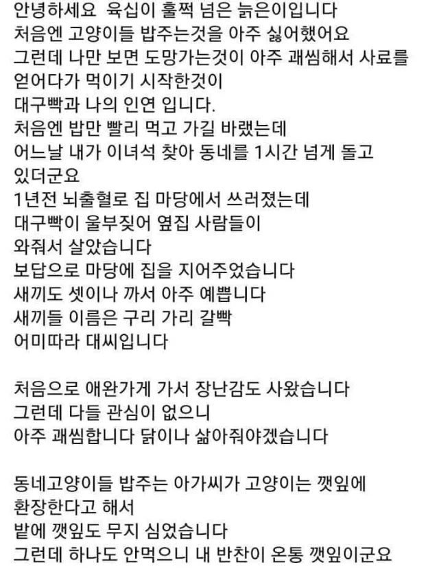  안녕하세요 육십이 훌쩍 넘은 늙은이입니다1
