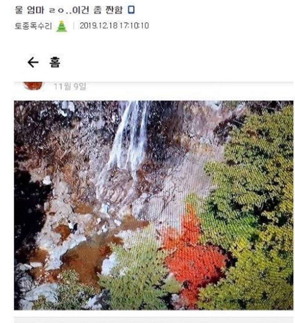  울 엄마 ㄹㅇ 이건 좀 짠함…jpg3