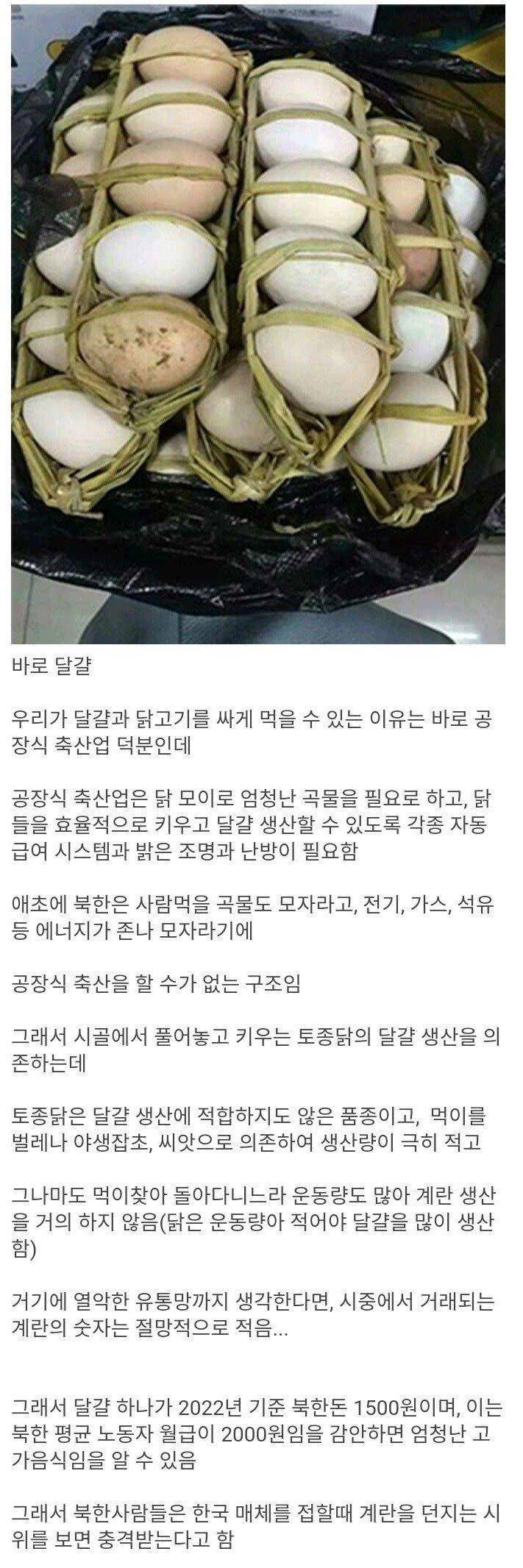 의외로 북한에서 고급식재료인것.JPG | 인스티즈