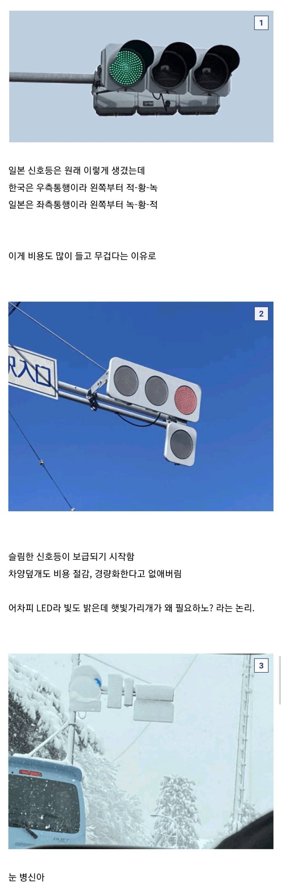 새로 설치된 일본의 신호등 | 인스티즈