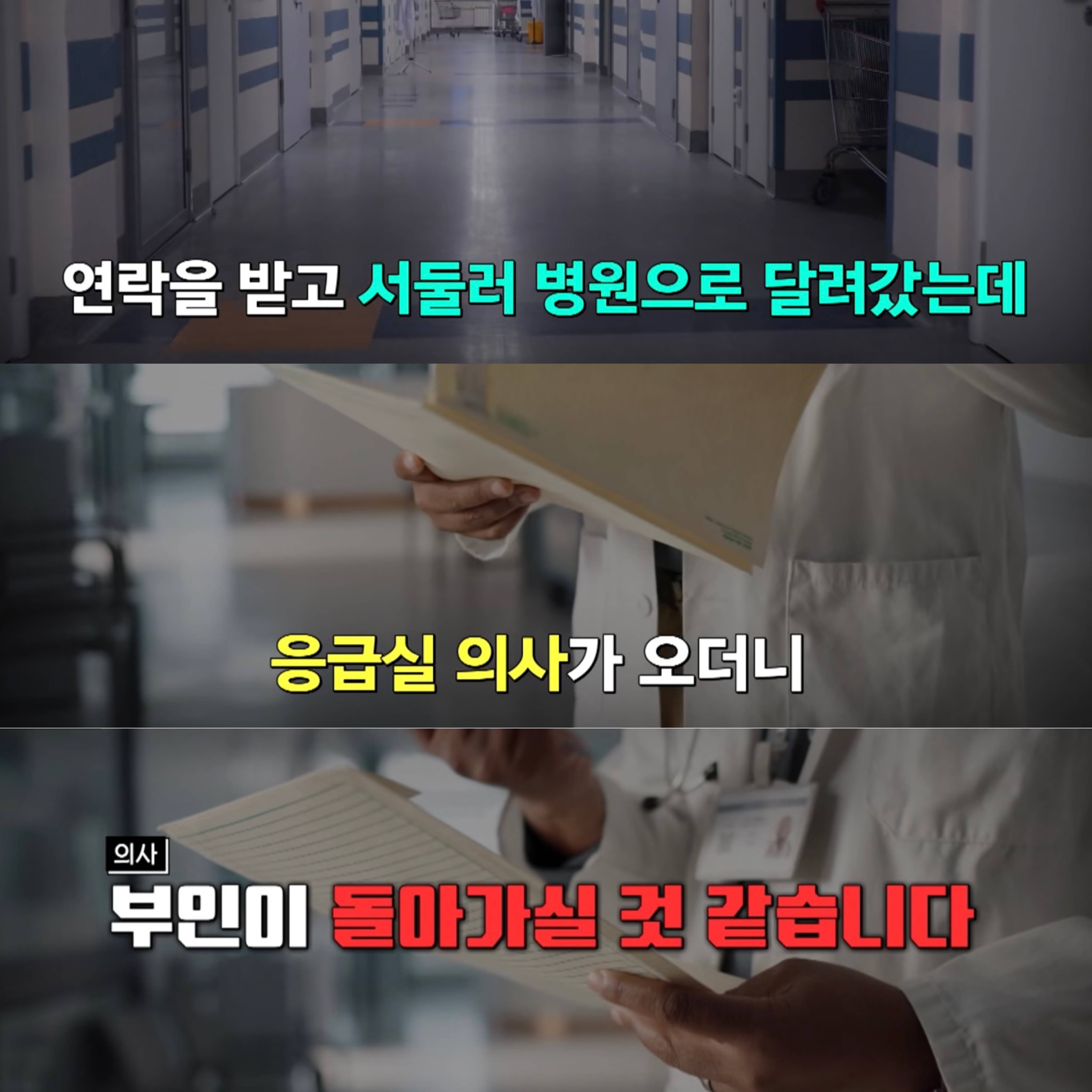 [한블리] 4톤 지게차에 30대 여자 직원이 깔린 충격적인 사건 | 인스티즈