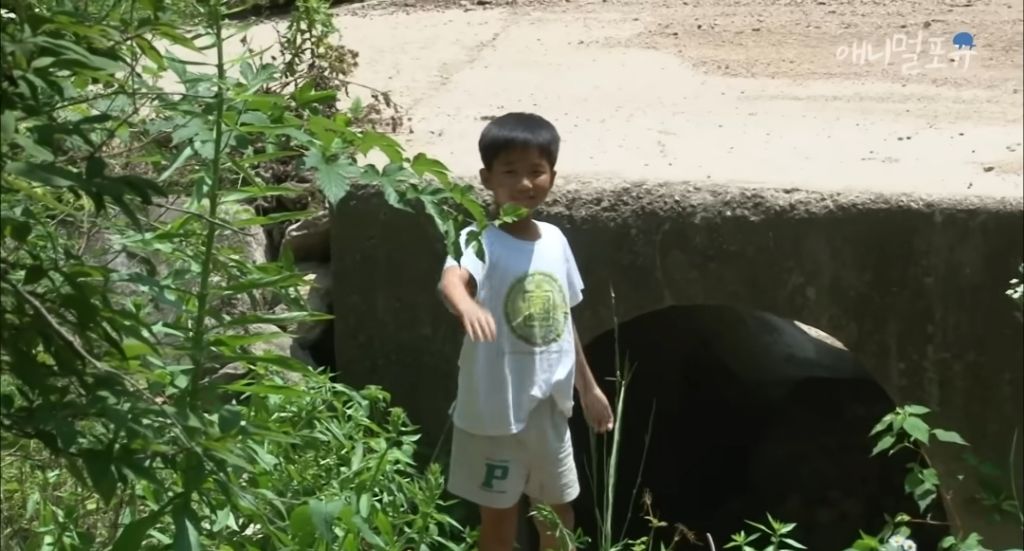 산골소년이 인간극장 제작진을 반겨주는 법 | 인스티즈