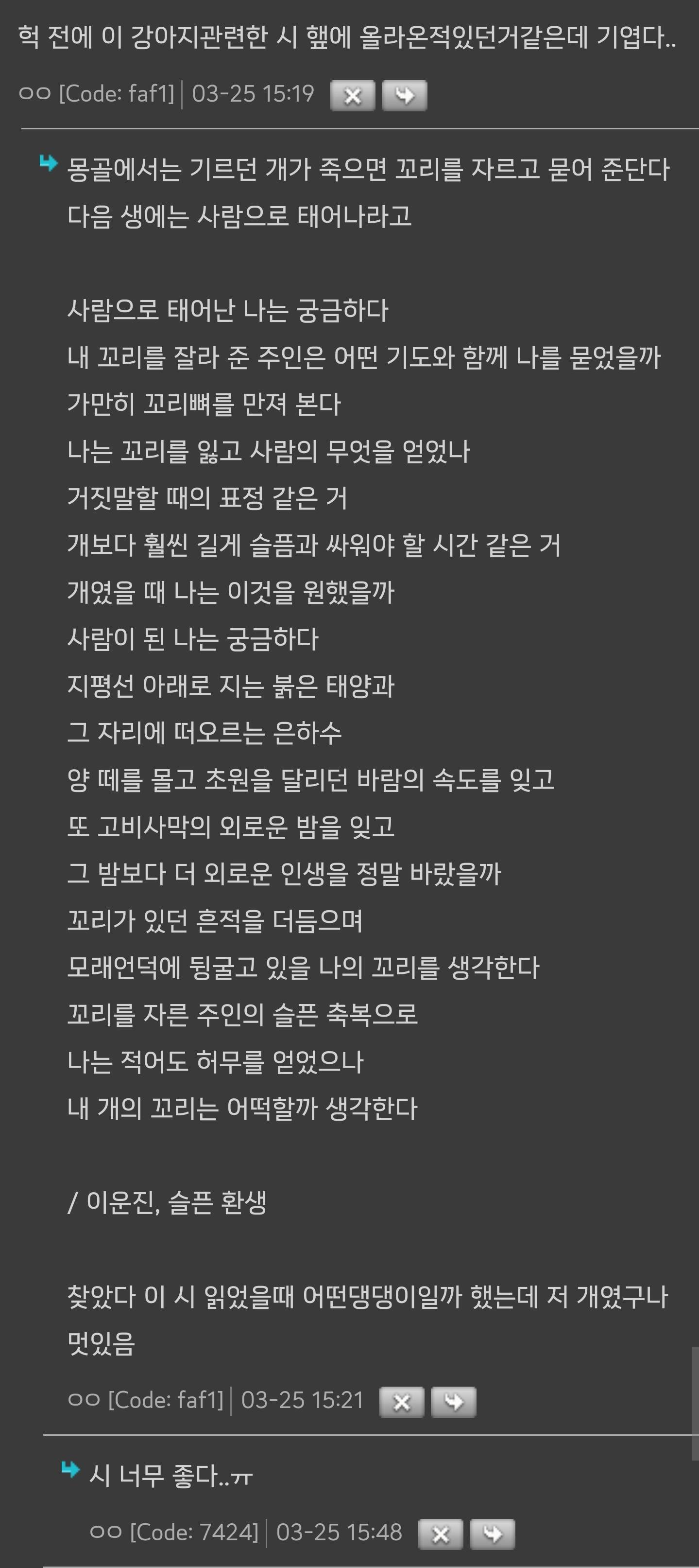 몽골에서 목양견 강아지를 새로 입양하는 방법 | 인스티즈