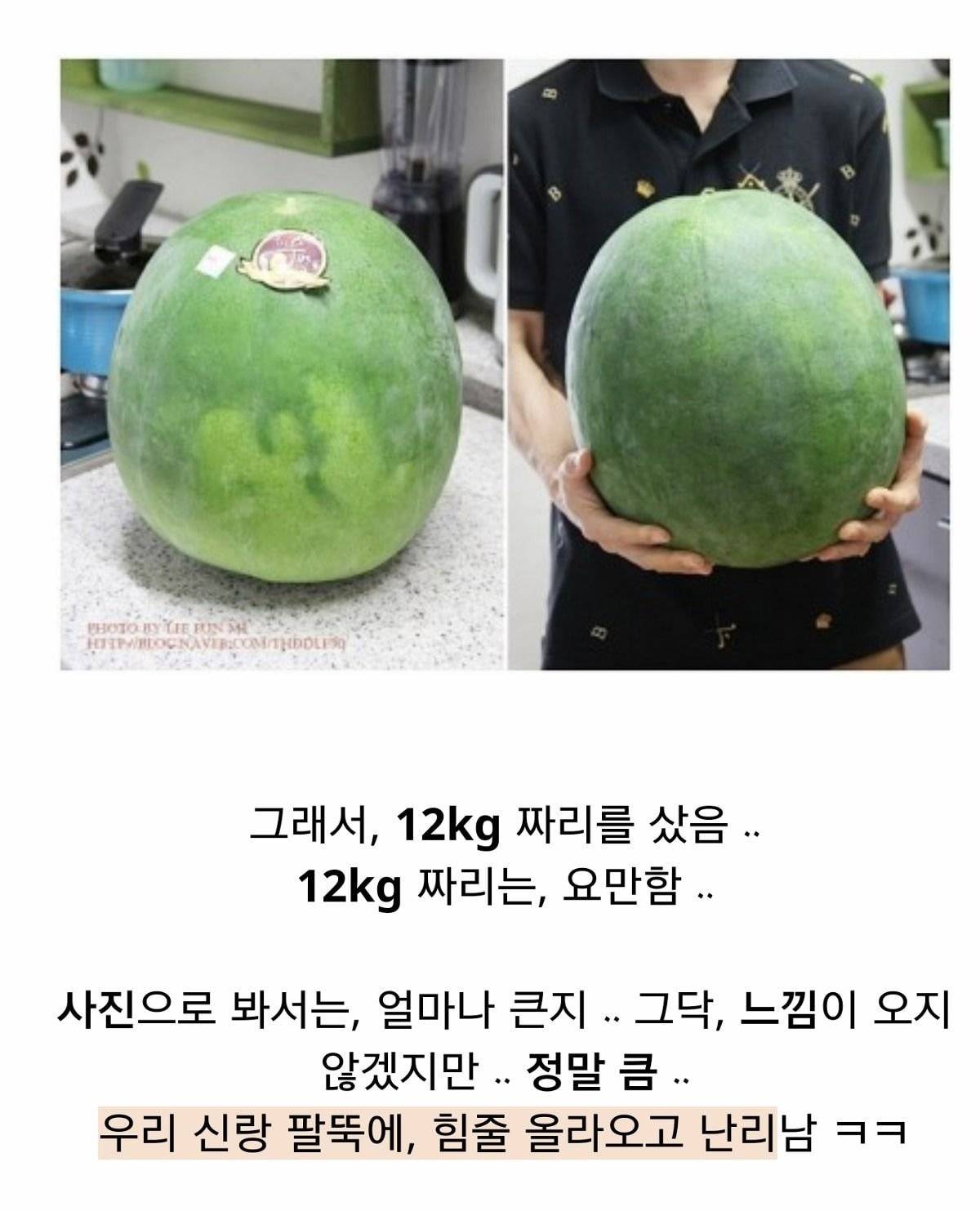 엄청 비싼 무등산 수박 리뷰 | 인스티즈