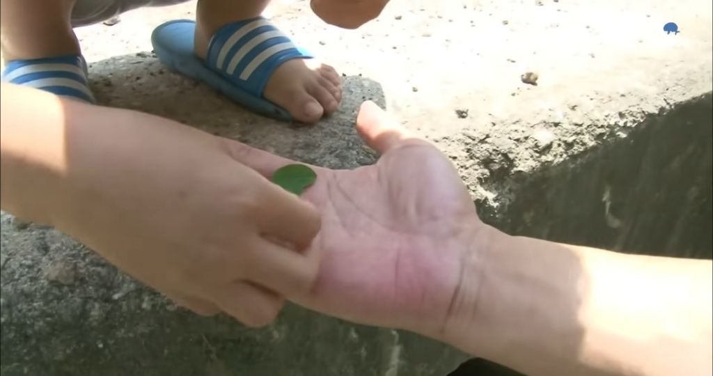 산골소년이 인간극장 제작진을 반겨주는 법 | 인스티즈
