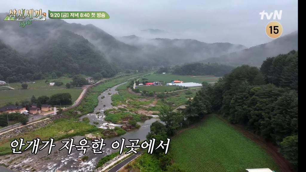 삼시세끼 예고편.gif | 인스티즈