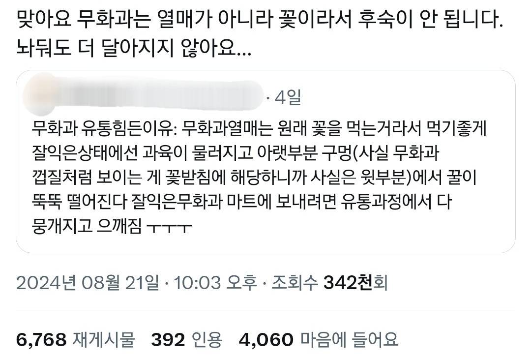 진짜 짱맛인 무화과를 먹으려면 전남으로 사람이 내려가야함.twt | 인스티즈