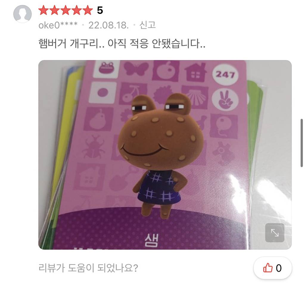 동숲 아미보 리뷰 웃긴거 모음.. | 인스티즈