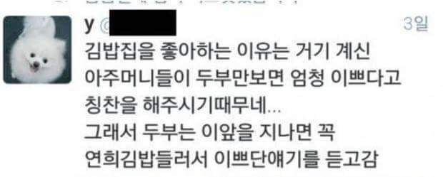 친구들이랑 시장 갔다가 멍멍이 봤어 고양이한테 맞고 우는중이래.jpg | 인스티즈