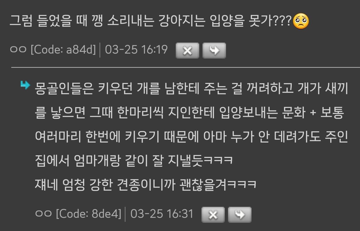 몽골에서 목양견 강아지를 새로 입양하는 방법 | 인스티즈