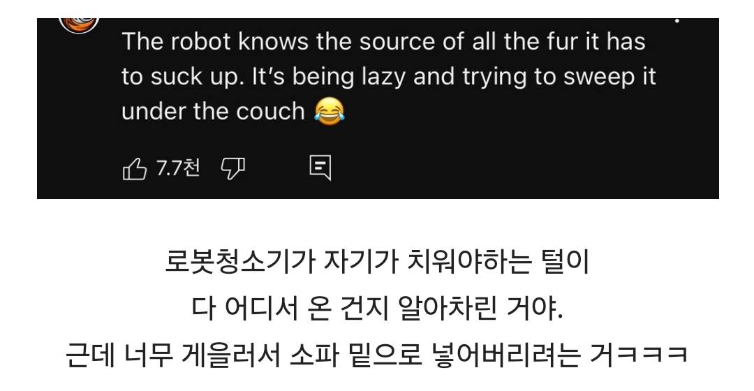 고양이를 소파 밑으로 밀어넣어버리는 로봇청소기 | 인스티즈