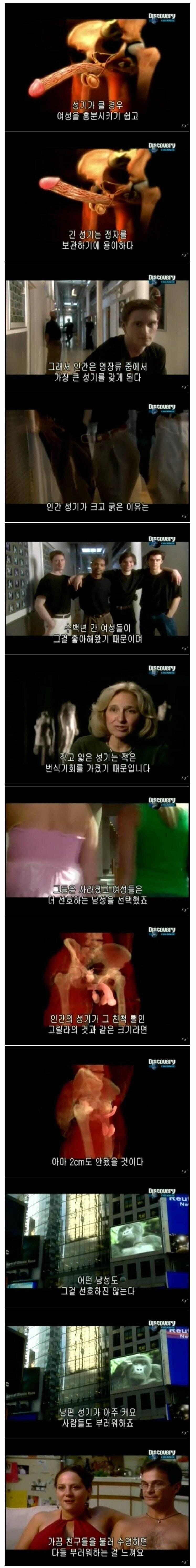 [다큐] 인간이 영장류 중에서 가장 큰 성기를 가지게 된 이유 | 인스티즈