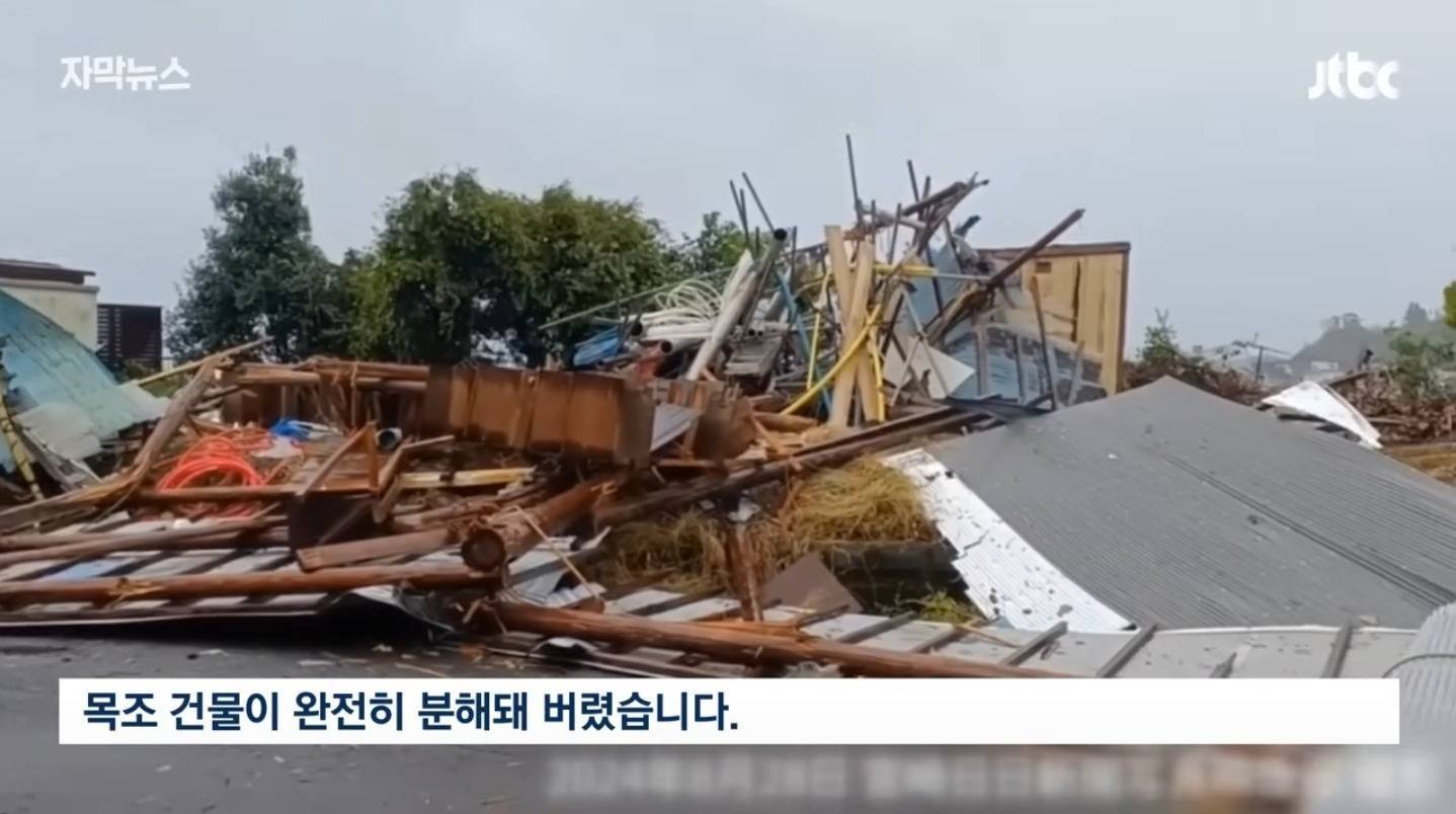 "일본행 비행기가 마침 떠서"…한국 관광객 멘붕 상황 | 인스티즈