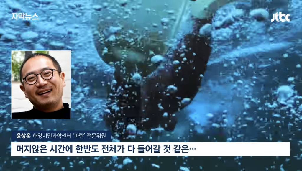 심각하다는 서귀포 바다 근황 | 인스티즈