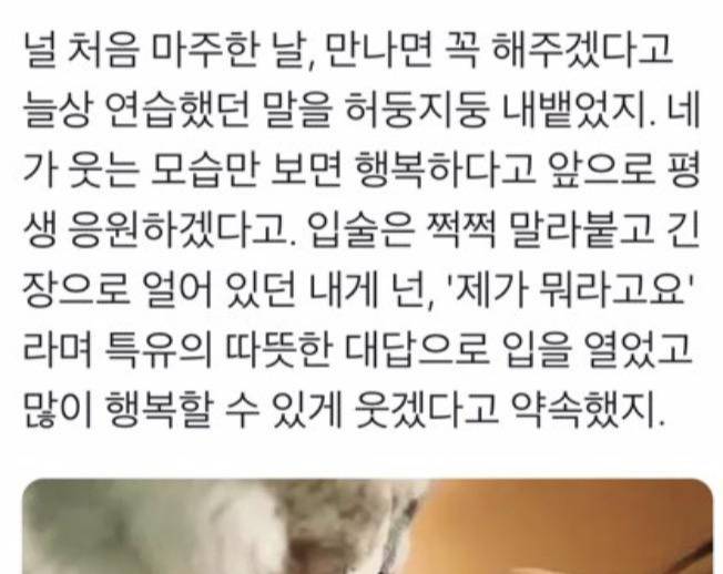 최애의 결혼을 앞둔 새벽 한 팬이 남긴 트윗. twt | 인스티즈