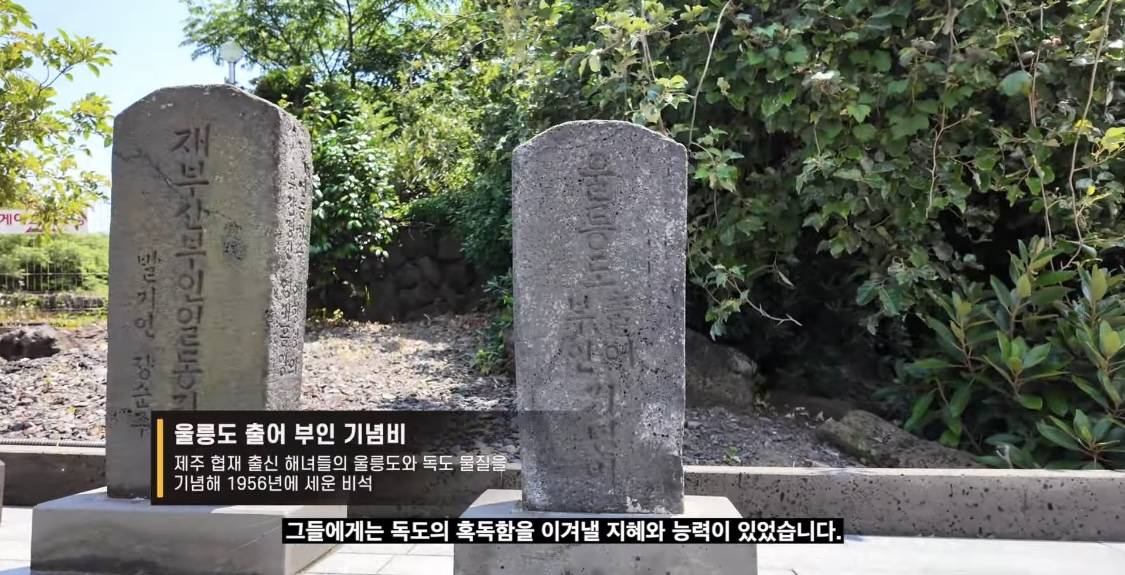 제주해녀가 독도 수호에 기여했다는 사실 알고있었어? | 인스티즈