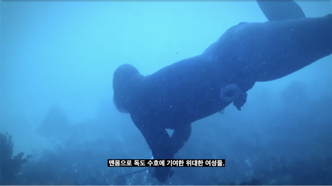 제주해녀가 독도 수호에 기여했다는 사실 알고있었어? | 인스티즈