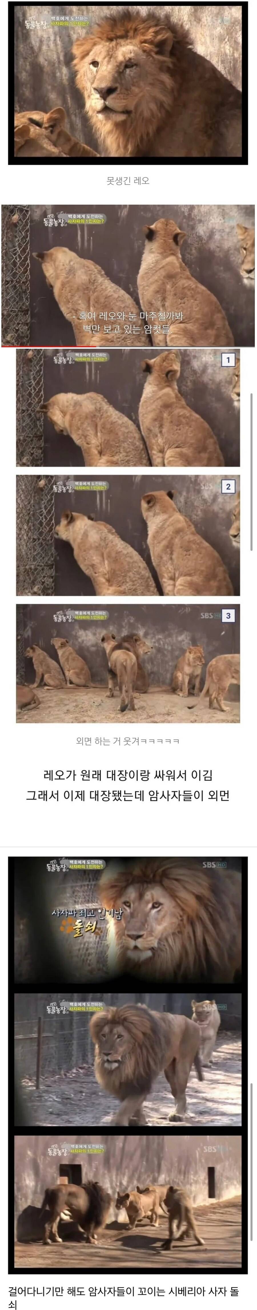 조건 보다 와꾸가 확실히 위인 이유 ㅠ | 인스티즈