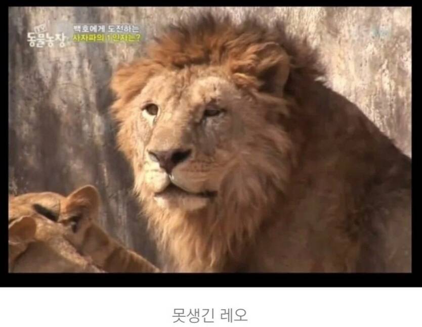 조건 보다 와꾸가 확실히 위인 이유 ㅠ | 인스티즈