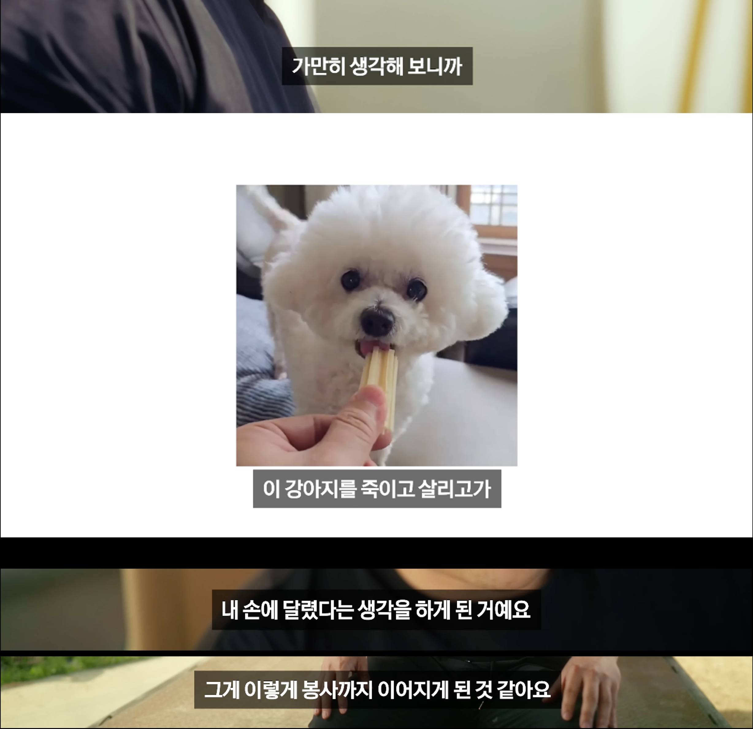 데려온 강아지가 아프다니까 펩숏 반응.jpg | 인스티즈