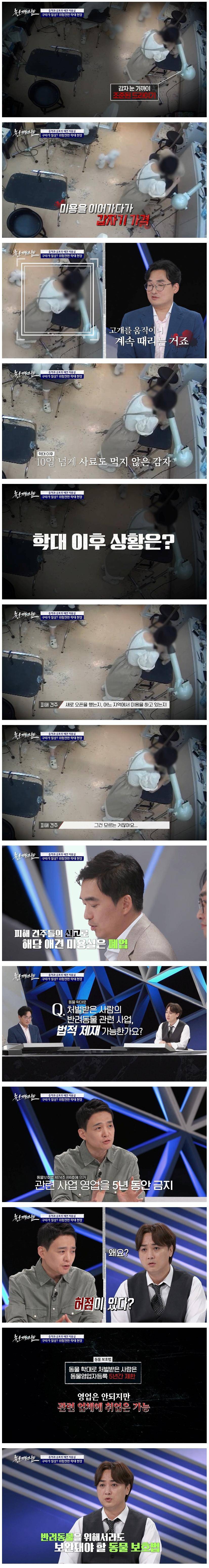 애견인들 사이에서 난리난 애견미용실 학대 사건 CCTV | 인스티즈