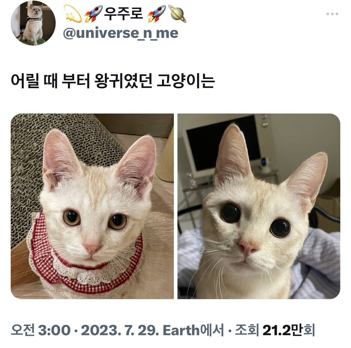 표정뭐야 누워있는사람 첨보나.twt | 인스티즈