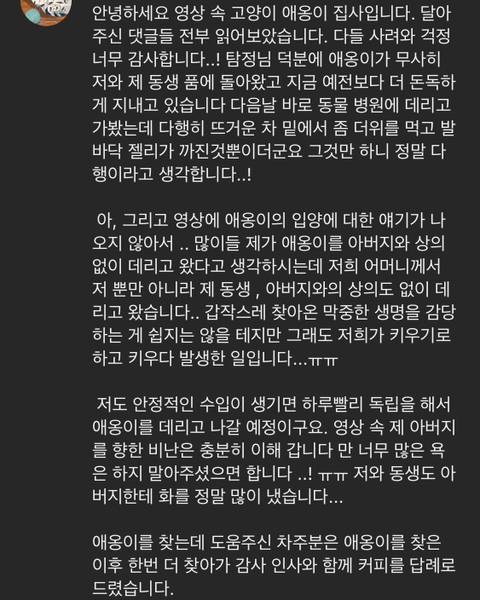 가족들 몰래 고양이를 갖다버린 아빠 | 인스티즈