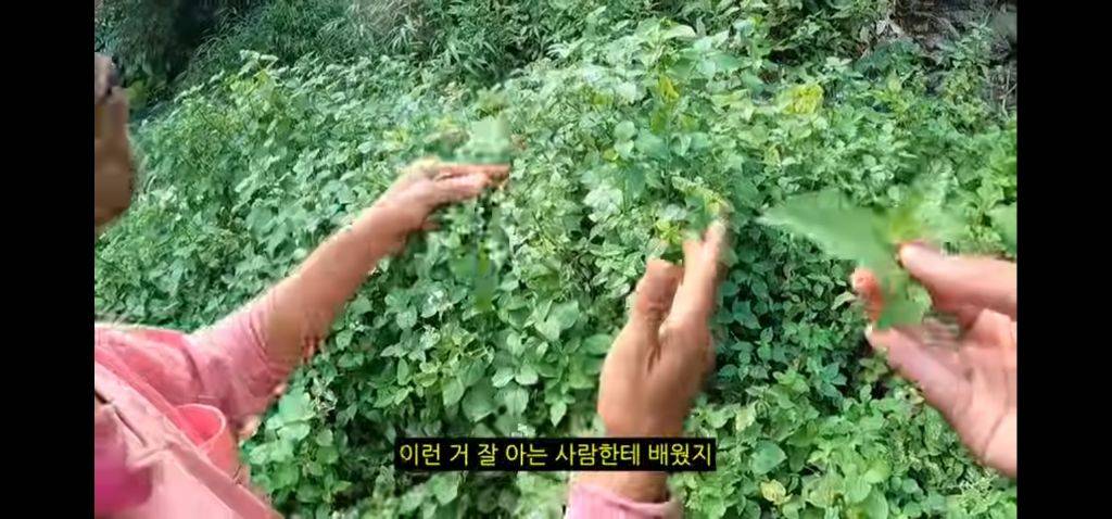 고구려의 후예라고 불린다는 라후족 방문한 유튜버 | 인스티즈