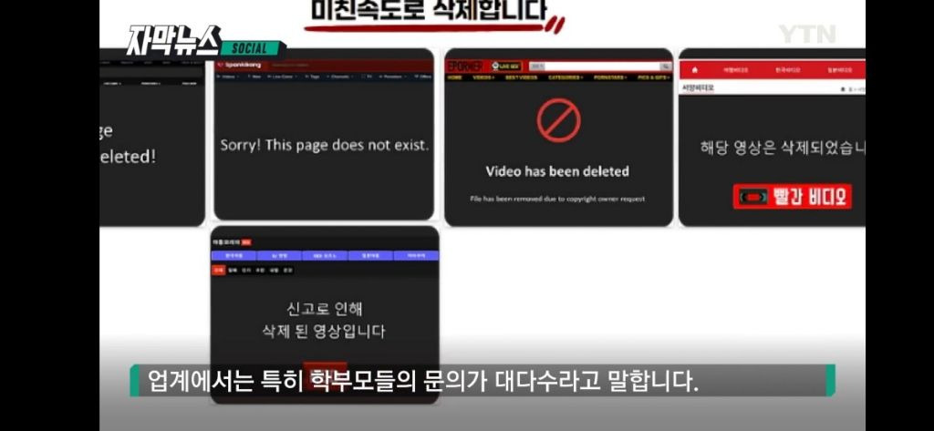 오늘자 딥페이크 대책본부 (이름만 이렇고 가해자만 가입하는) 카페에 올라온 글 | 인스티즈