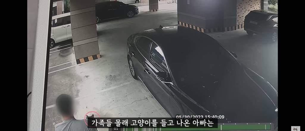 가족들 몰래 고양이를 갖다버린 아빠 | 인스티즈