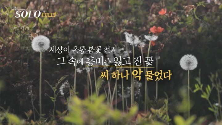 정말 아무말이나 써대는 것 같은 나는솔로 방송 중간 중간 삽입되는 명언(?) 문구들 | 인스티즈