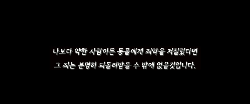 가족들 몰래 고양이를 갖다버린 아빠 | 인스티즈