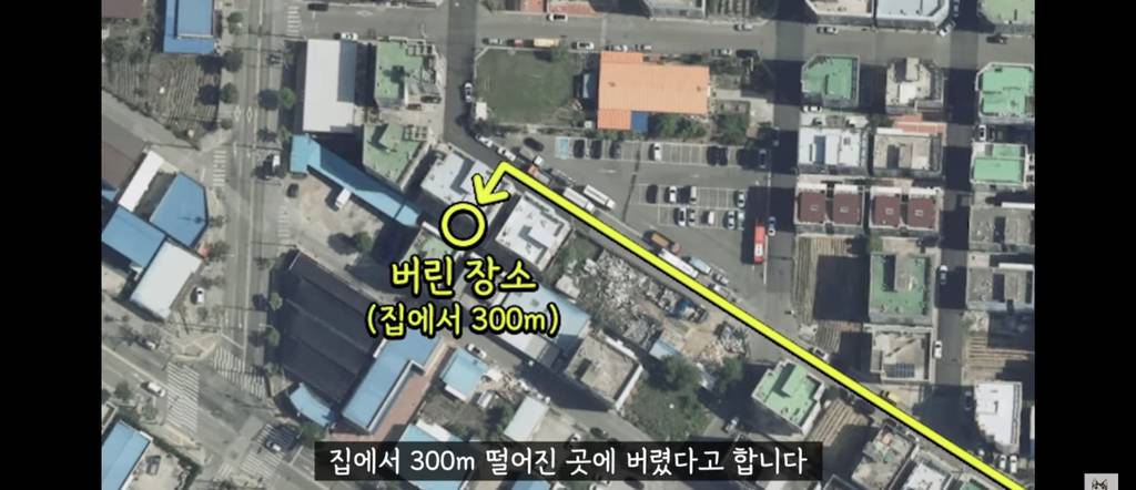 가족들 몰래 고양이를 갖다버린 아빠 | 인스티즈
