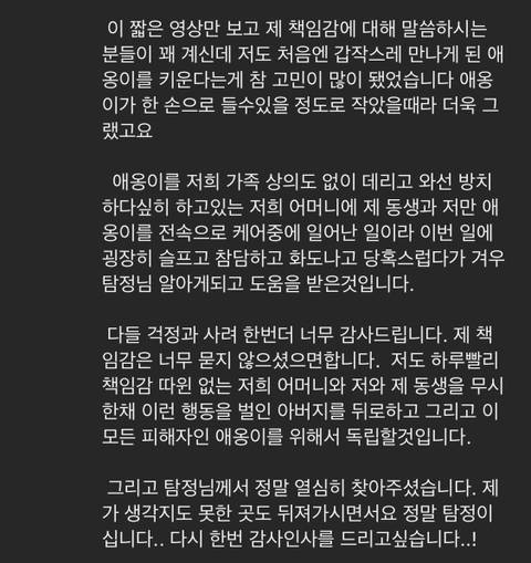 가족들 몰래 고양이를 갖다버린 아빠 | 인스티즈