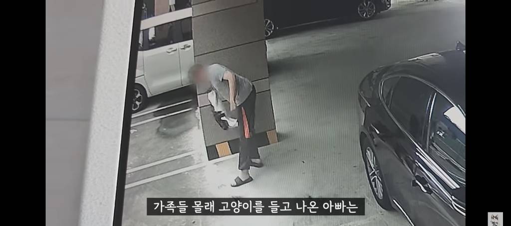 가족들 몰래 고양이를 갖다버린 아빠 | 인스티즈